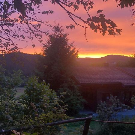 Ferienhaus Schlagintweit Drachselsried Zewnętrze zdjęcie