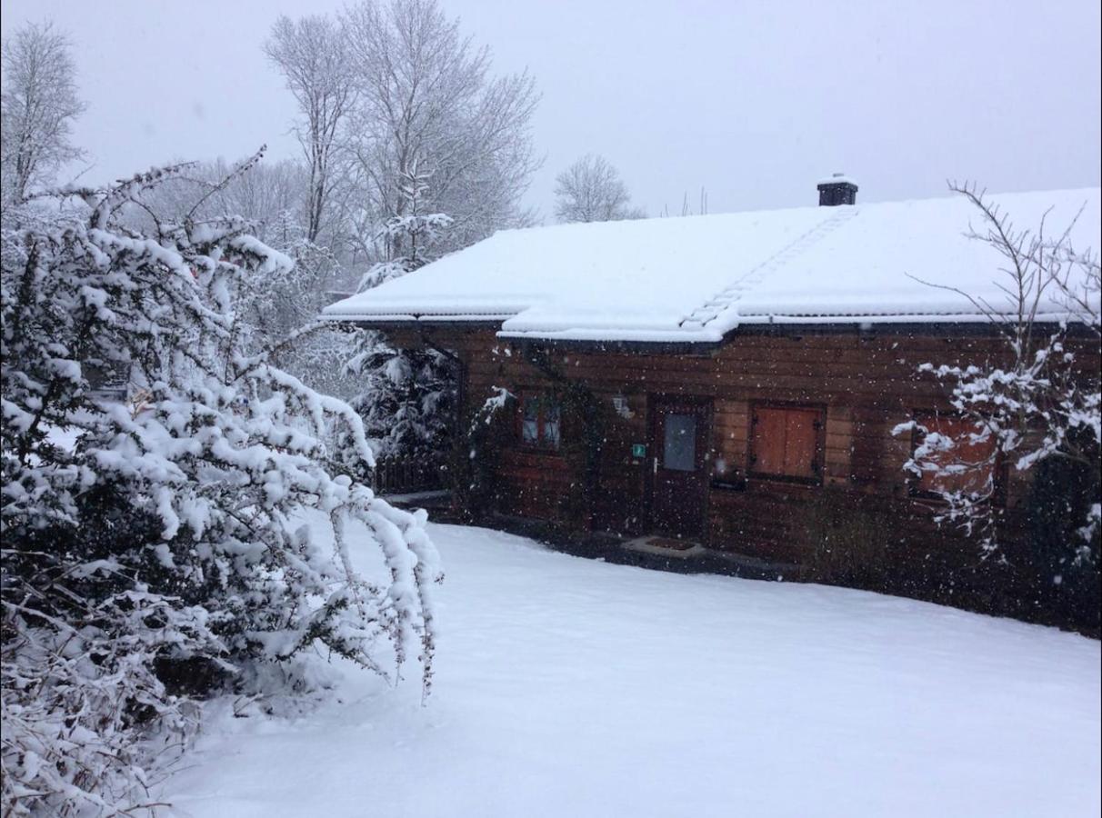Ferienhaus Schlagintweit Drachselsried Zewnętrze zdjęcie