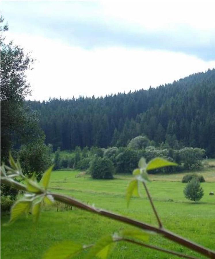 Ferienhaus Schlagintweit Drachselsried Zewnętrze zdjęcie